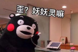 淮安融资清欠服务